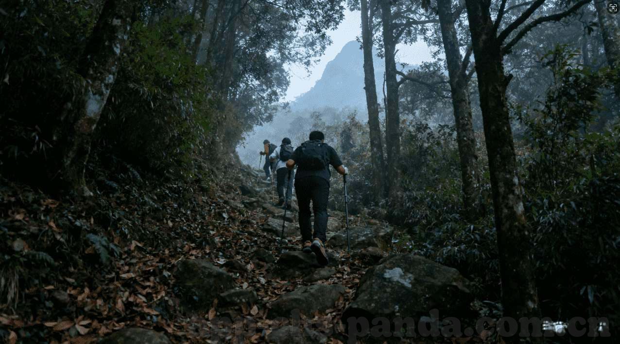 亚娱游戏平台-亚娱游戏平台，重塑娱乐新维度的沉浸式体验